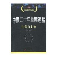 中国二十年重案追踪--扫黄打非案