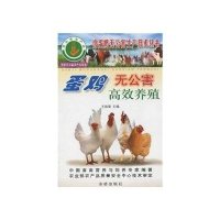 蛋鸡无公害高效养殖