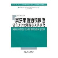 景洪市嘎洒镇傣族语言文字使用现状及其演变