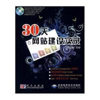 30天网站建设实录(附盘)