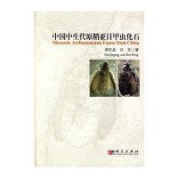 中国中生代原鞘亚目甲虫化石