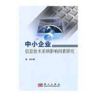 中小企业信息技术采纳影响因素研究