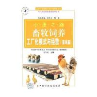 小康之路-新农村建设模式与解析