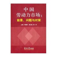 中国劳动力市场：前景、问题与对策