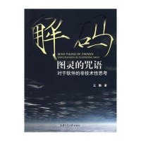 解码图灵的咒语-对于软件的非技术性思考