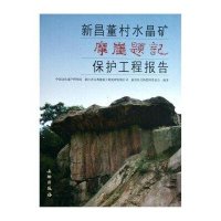 新昌董村水晶矿摩崖题记保护工程报告