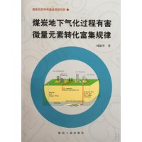 煤炭地下气化过程有害微量元素转化富集规律