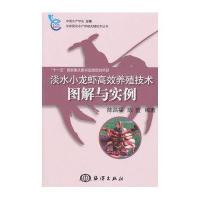 淡水小龙虾高效养殖技术图解与实例