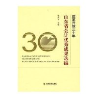 改革开放三十年山东省会计优秀成果选编