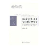 权力视角下的公企业与国有经济治理研究