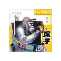 动物的12个真相-猴子