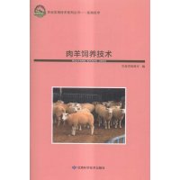 肉羊饲养技术