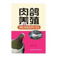肉鸽养殖与疾病防治