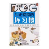 纠正狗狗的坏习惯