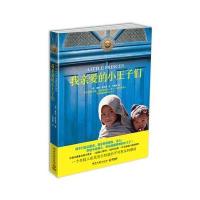 我亲爱的小王子们