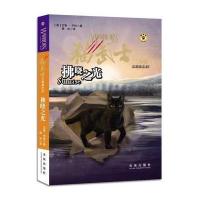 猫武士三部曲之6：拂晓之光
