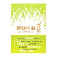 罅缝中的野草-大专生,照样年薪三十万