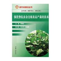 强优势抗虫杂交棉及高产栽培技术