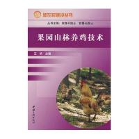 果园山林养鸡技术