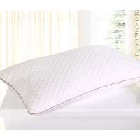 乐加家纺抗菌透气羽丝绒枕LH25101111