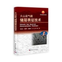 火山岩气藏储层表征技术