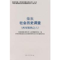 傣族社会历史调查：西双版纳之六
