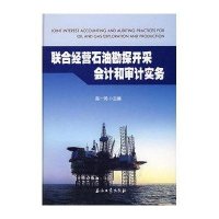 联合经营石油勘探开采会计和审计实务