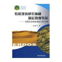 特低渗透砂岩油藏储层微观特征：以鄂尔多斯盆地延长组为例