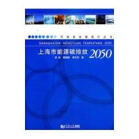 上海市能源碳排放2050