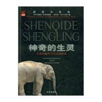 神奇的生灵：充满奇趣的109个生物探秘