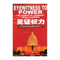 见证权力：从尼克松到克林顿的领导艺术