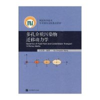 多孔介质污染物迁移动力学