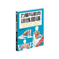 力量与肌肉训练图谱