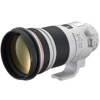 佳能镜头EF 300mm f/2.8L IS Ⅱ USM