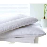 小绵羊决明子健康枕