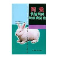肉兔快速饲养与疾病防治
