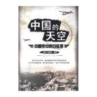 中国的天空:中国空中抗日实录