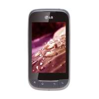 LG 手机 P693 (TITANIUM)