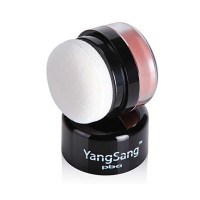 PBA YangSang3D立体腮红C2(珊瑚红)