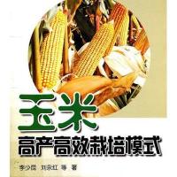玉米高产高效栽培模式