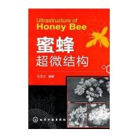 蜜蜂超微结构
