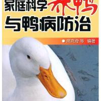 家庭科学养鸭与鸭病防治