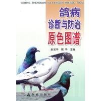 鸽病诊断与防治原色图谱