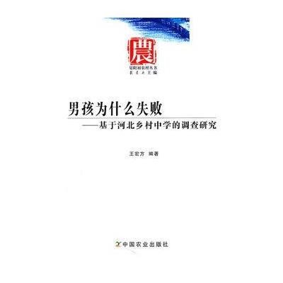 男孩为什么失败-基于河北乡村中学的调查研究