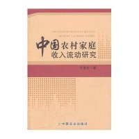 中国农村家庭收入流动研究