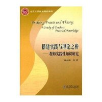 搭建实践与理论之桥--教师实践性知识研究/北京大学教育研究系列