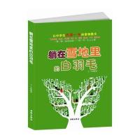 躺在雪地里的白羽毛