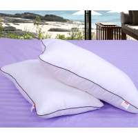 长相知蚕丝羽丝绒枕芯1