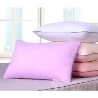 长相知蚕丝羽丝绒枕芯2