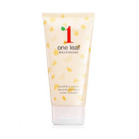 韩束one leaf蜡菊亮采卸妆洁面乳100ml